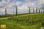 La Ronda Fiandre Trevigiane
